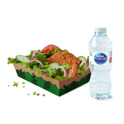 McDonald's Menu with Prices April 2026 139 crispy chicken salad ed 1
